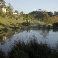Avalon Resort Cottages