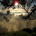 The Bay Chronicle