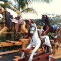 Classic Kiwi Rocking Horses