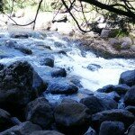 Family Fun | KERIKERI | Bay of Islands | New Zealand Family Fun | KERIKERI | Bay of Islands | New Zealand