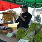kerikeri-farmersmarket-lettuce
