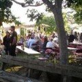 Fat Pig Vineyard