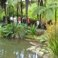 Kerikeri Rotary Garden Safari