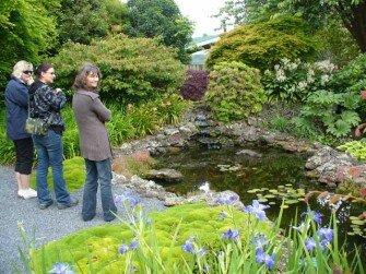 kerikeri-garden-safari2