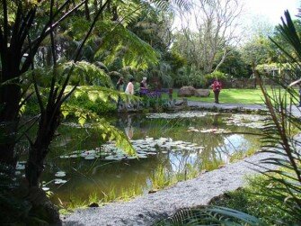 kerikeri-garden-safari3
