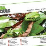 kerikeri-mediamoguls-kindergartenad